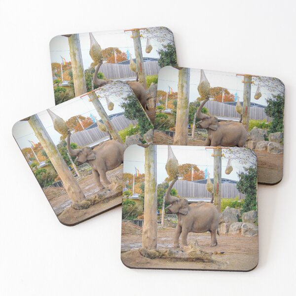 Item preview, Happy Elephant at Chester Zoo designed and sold by GillyMc.