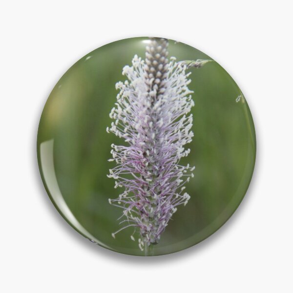 Item preview, Field meadow foxtail purple flower	 designed and sold by EstelleRossetti.