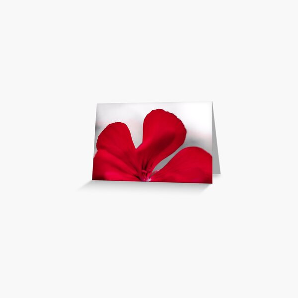 Item preview, Red Curves  designed and sold by Photosbybrooke.