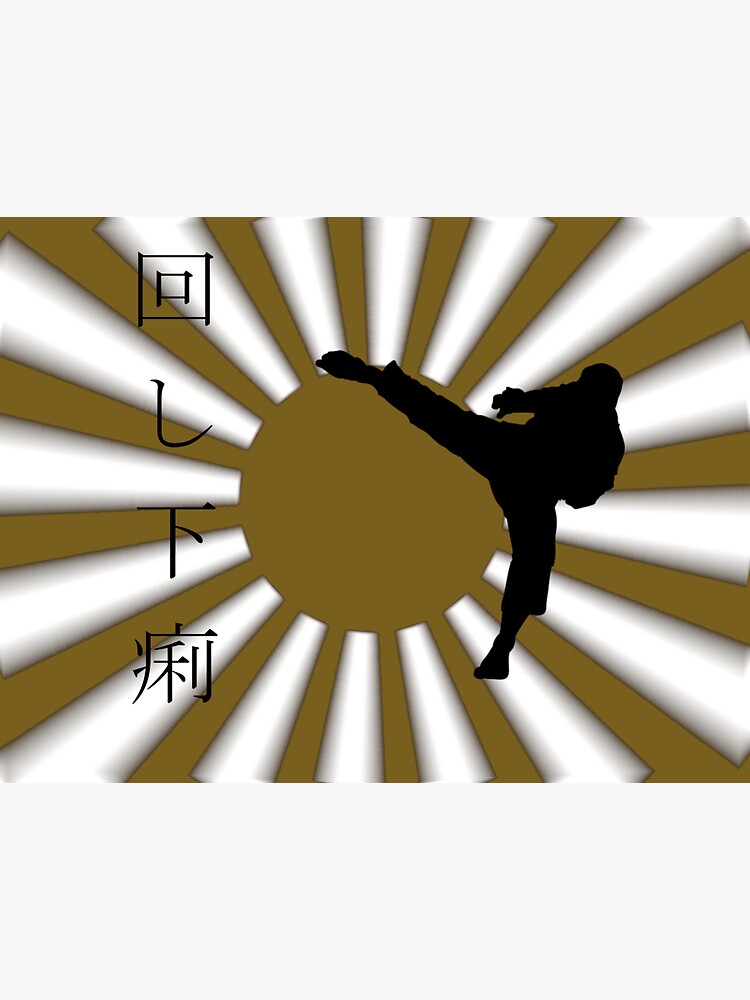 MAWASHI-GERI by ddmushi