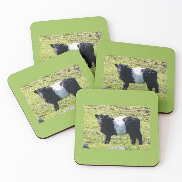 Item preview, Belted Galloway calf designed and sold by Marju Rose.
