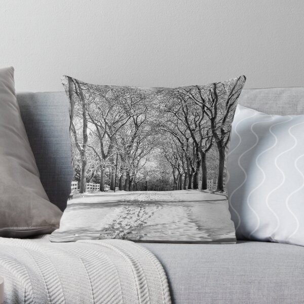 Throw Pillow