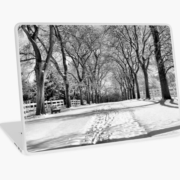 Macbook Air 13" (2015)