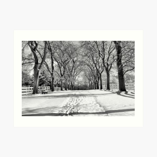 Art Print