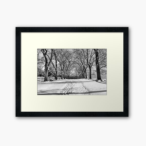 Framed Print