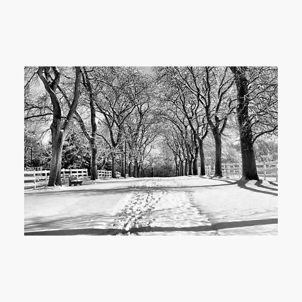 Photographic Print