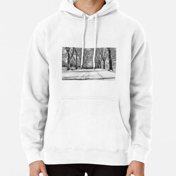 Hoodie (Pullover)