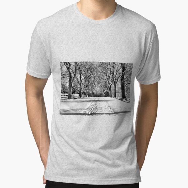 Tri-blend T-Shirt