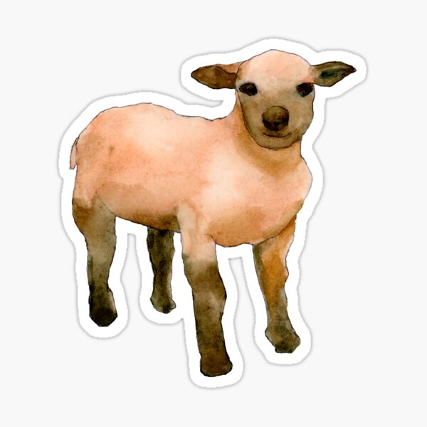 Sweet Little Lamb Sticker