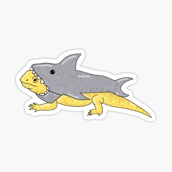 Shark costume Bearded dragon  Sticker