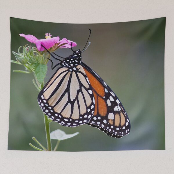 Item preview, Monarch  designed and sold by Jacquelie.