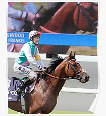 Frankel On Stage and Screen Poster
