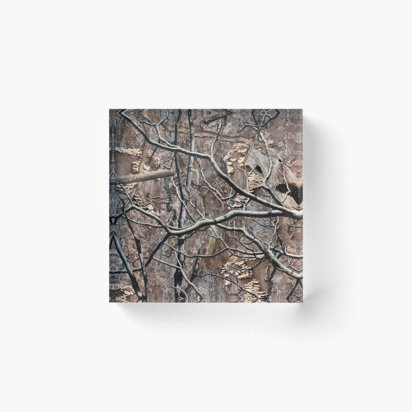 Item preview, Hunting Camouflage Pattern 8 designed and sold by Jared Davies.