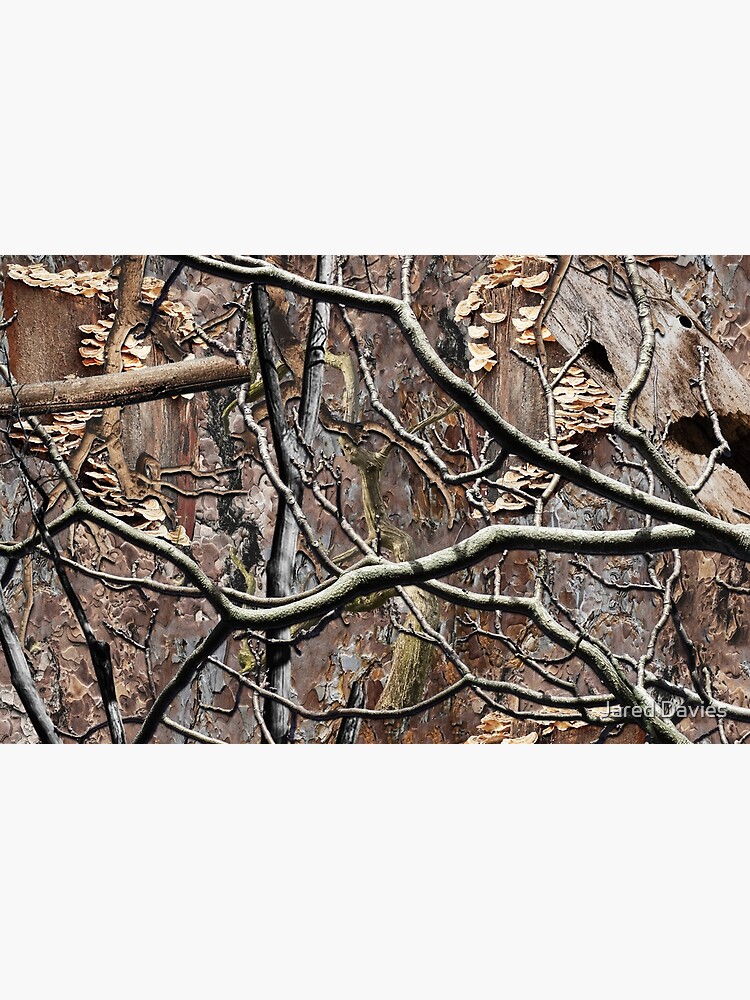 camouflage, real tree, realtree, hunter, camo, pattern, woods