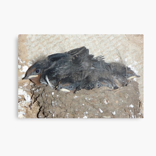 Growing Strong Metal Print