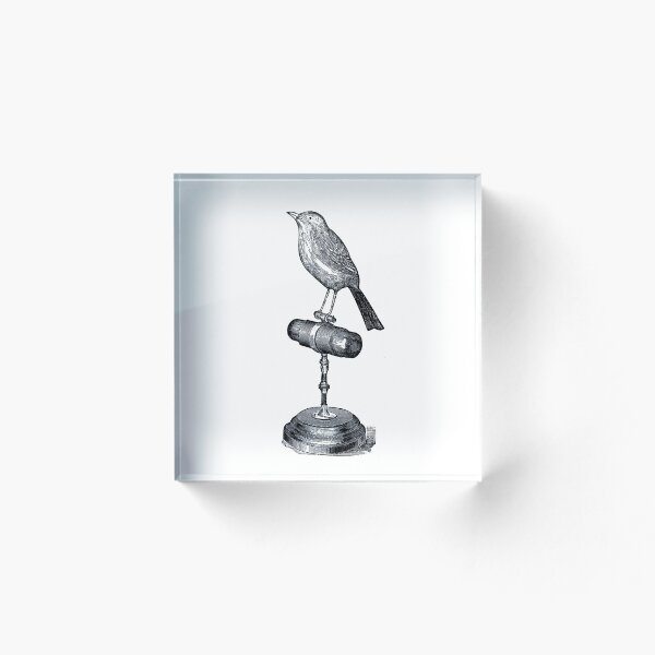 Item preview, Vintage Bird designed and sold by DanielJLawson88.