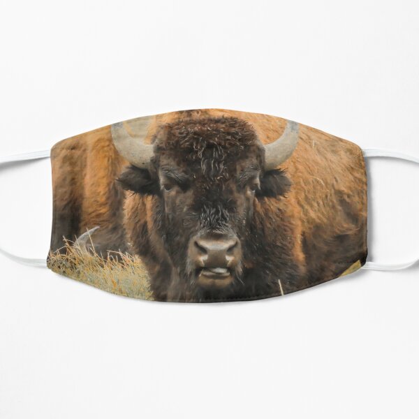 Bison Buffel Geschenke Merchandise Redbubble