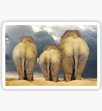 Traveling Elephant Family Sticker