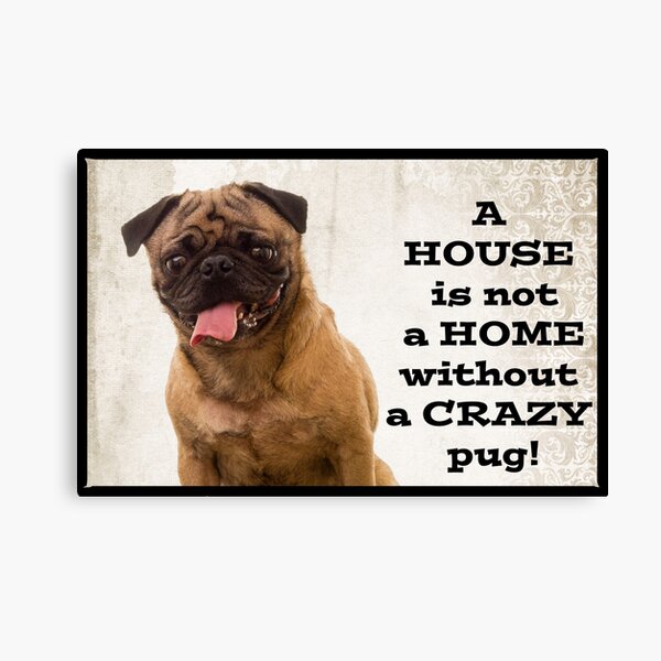A House is not a home without a crazy pug Canvas Print