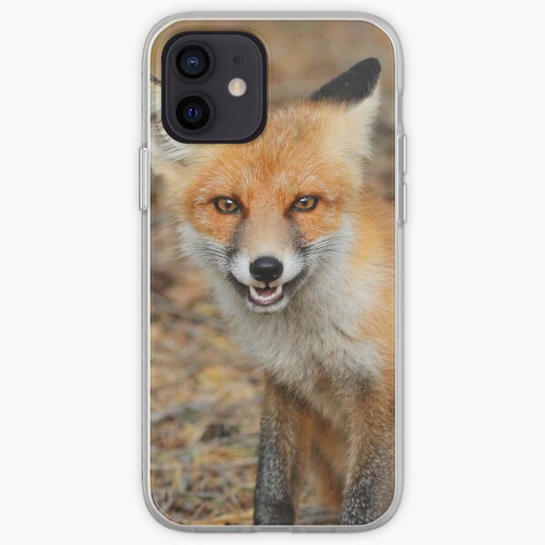 Cheeky fox iPhone Soft Case