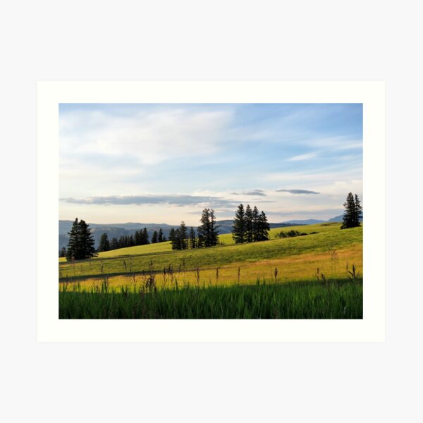 Blue skies at the farm Art Print