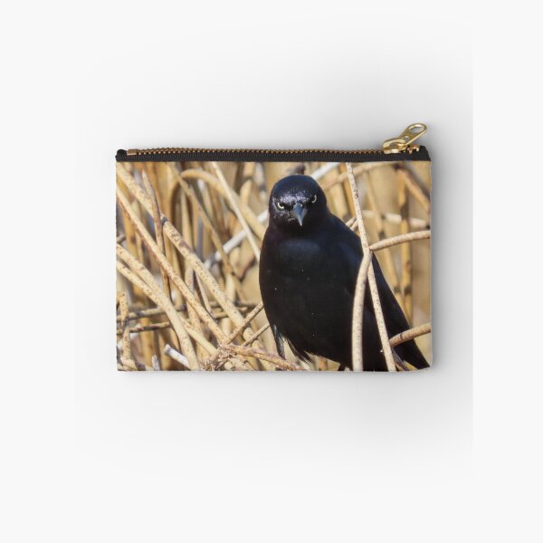 Item preview, Judgemental Brewer's Blackbird designed and sold by DigitalGen.
