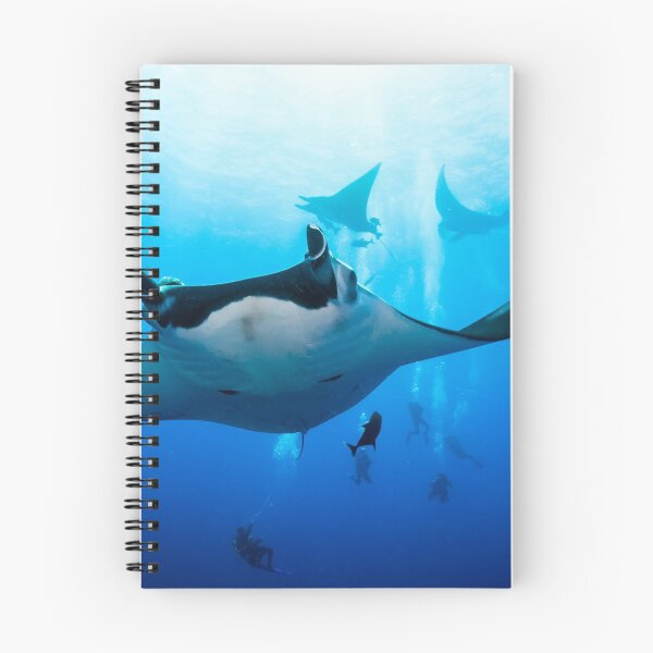 Item preview, Manta ray, underwater photograph. designed and sold by 4empowear.