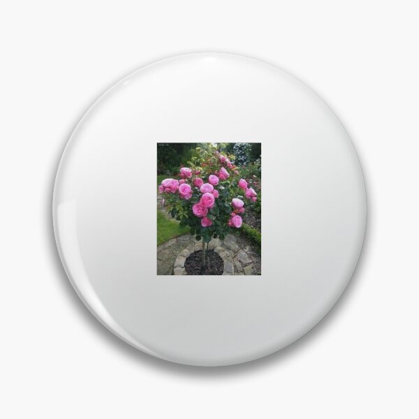 Item preview, Berea Botanical Gardens Pink Rose Tree designed and sold by Victoria Lynne Blakeman Bordelon.