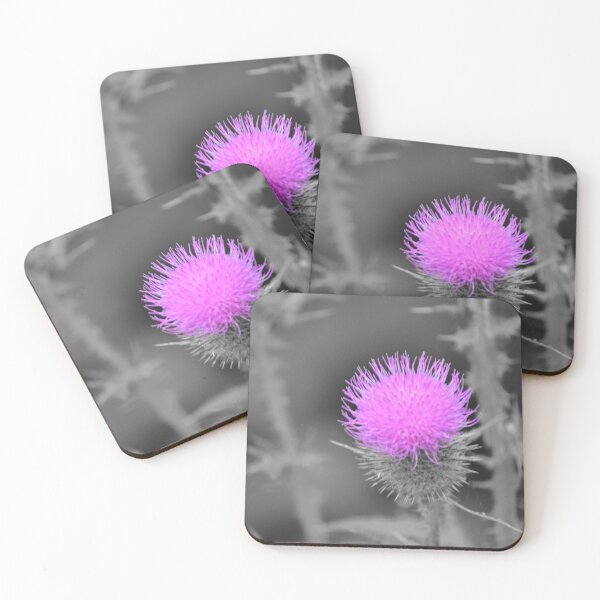 Item preview, Thistle Do Nicely designed and sold by WindandLight.