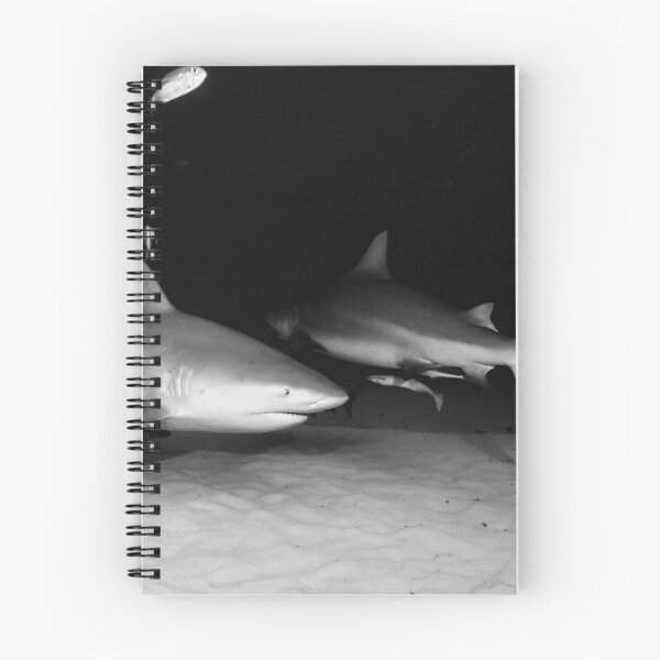 Item preview, Black and white bull sharks, underwater photo. designed and sold by 4empowear.