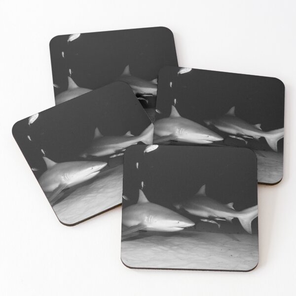 Item preview, Black and white bull sharks, underwater photo. designed and sold by 4empowear.