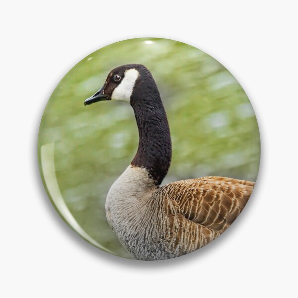 Item preview, Proud Goose designed and sold by Kay Brewer.