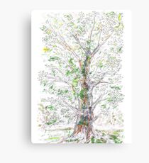 Silent Witness Canvas Print