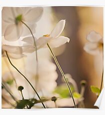 Flowers Poster