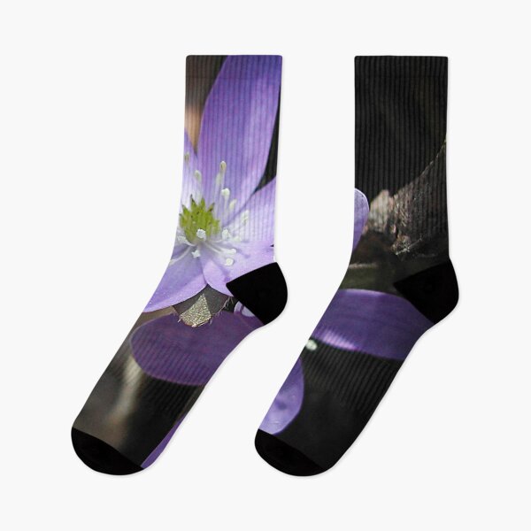 Item preview, Woodland hepatica, Anemone acutiloba - a sure sign of spring designed and sold by rvjames.