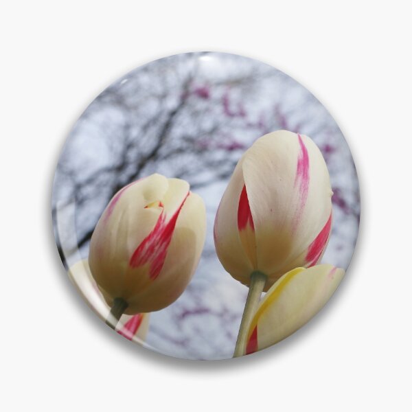 Item preview, Tulips Ready For Lift Off designed and sold by rvjames.