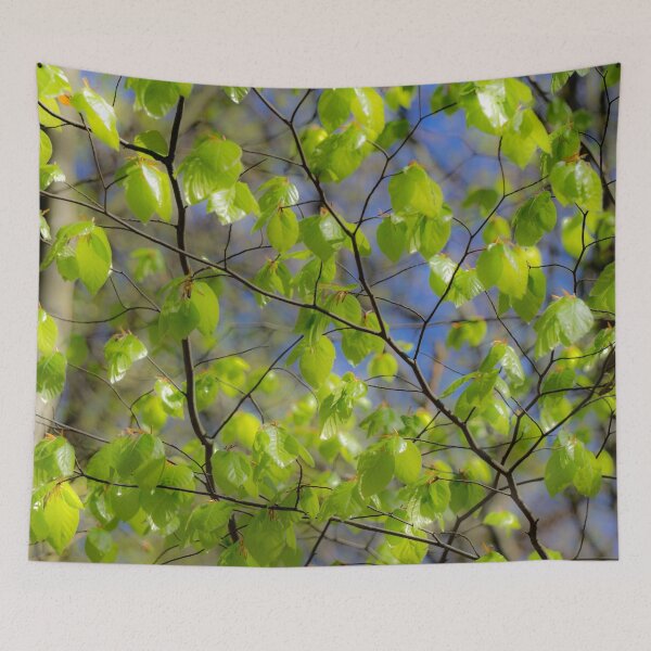 Item preview, Glowing birch leaves designed and sold by MarionsArt.