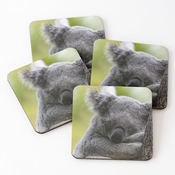 Item preview, Cute Koala sleeping. Arms crossed. On a branch, in the wild. Australian icon. designed and sold by Jensphotos.