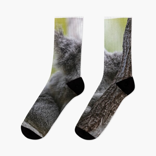 Item preview, Cute Koala sleeping. Arms crossed. On a branch, in the wild. Australian icon. designed and sold by Jensphotos.