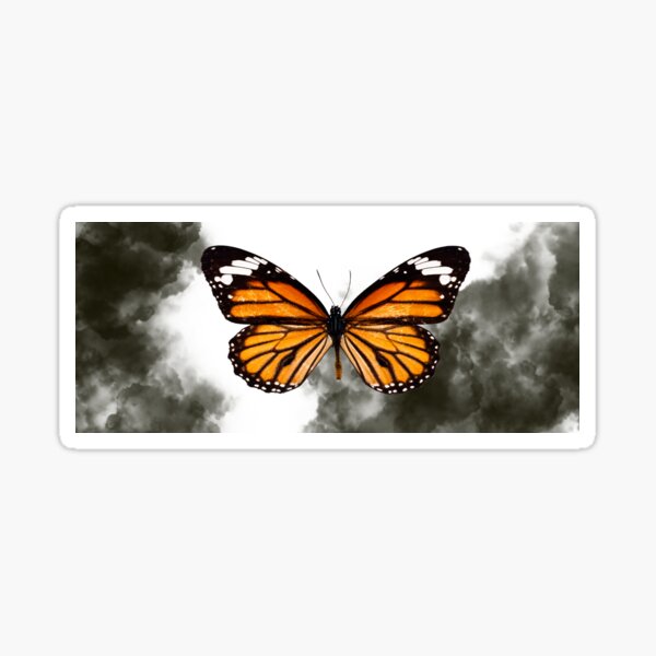 Butterfly Sticker