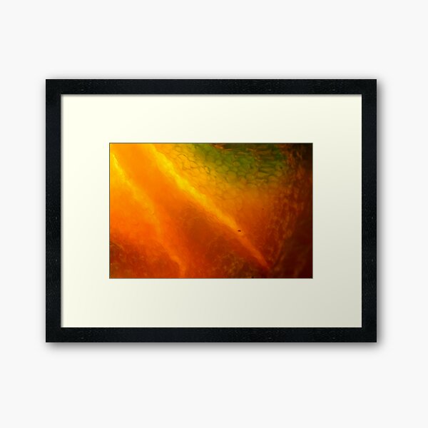 burning inside Framed Art Print