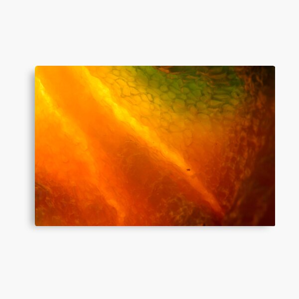 burning inside Canvas Print