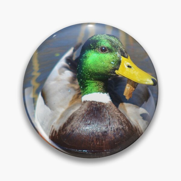 Item preview, Beautiful Mallard Duck designed and sold by floofpictures.