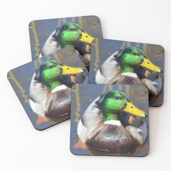 Item preview, Beautiful Mallard Duck designed and sold by floofpictures.