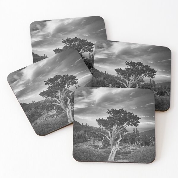 Item preview, Bristlecone Pines designed and sold by pwahl.