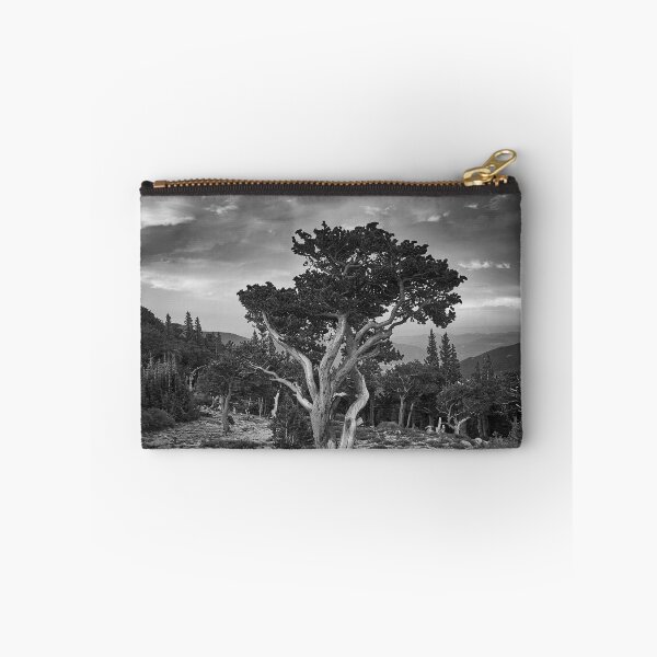 Item preview, Bristlecone Pines designed and sold by pwahl.