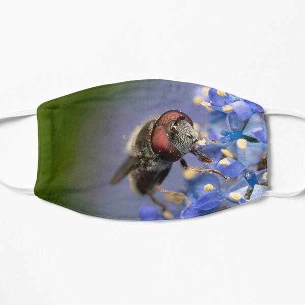 Hoverfly Flat Mask