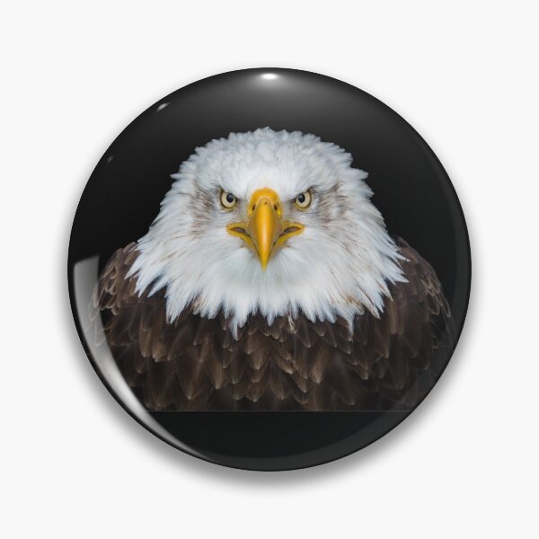 Item preview, Falcon designed and sold by Bakar Creations.