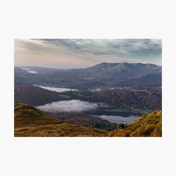 Item preview, View of Grasmere with Herdwick Sheep designed and sold by JMChown.
