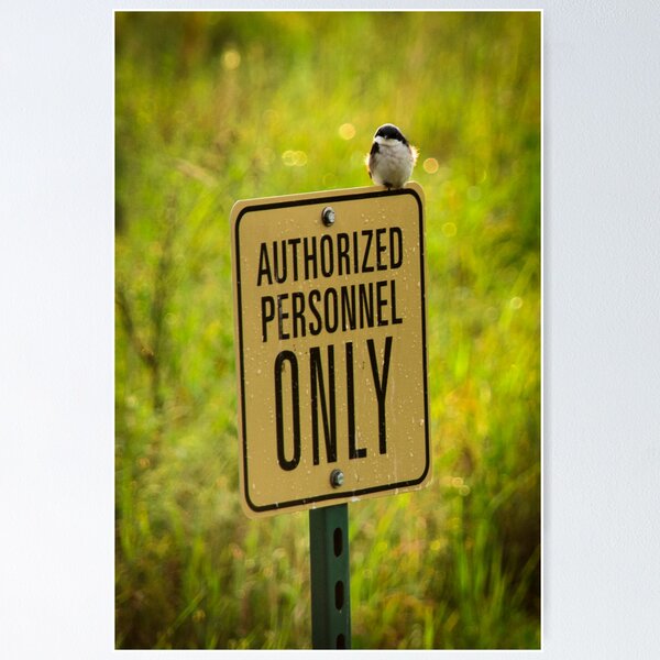 Item preview, Authorized Personnel Only designed and sold by Sean Balanger.